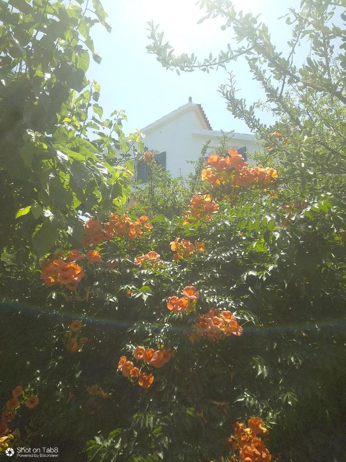 Villa Sirens Kalami Kalámion Esterno foto